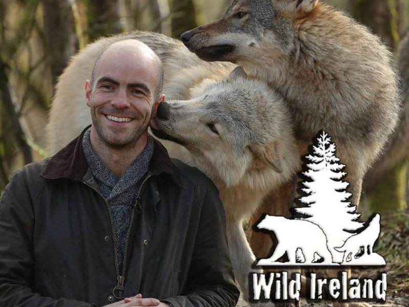 wild-ireland1